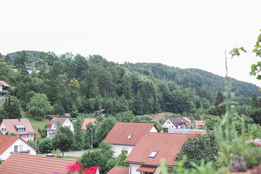 Ferienwohnung Spiegelberg Pokoj fotografie