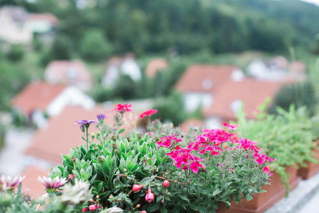 Ferienwohnung Spiegelberg Pokoj fotografie